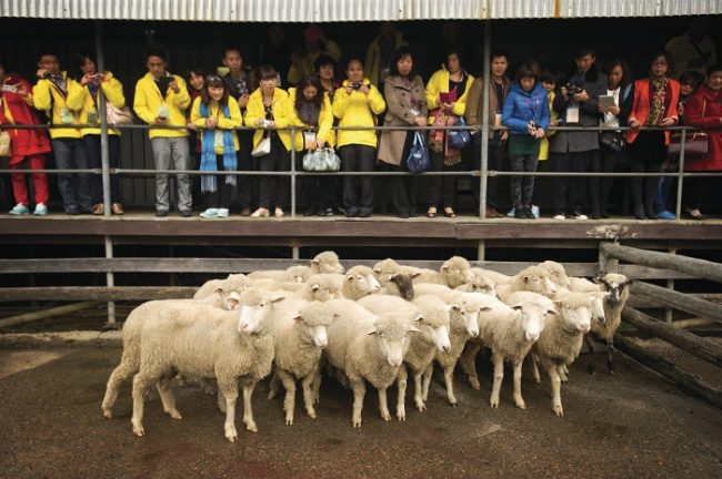 worldwide-best-agriculture-shows