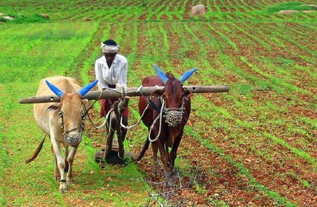 farmingindia