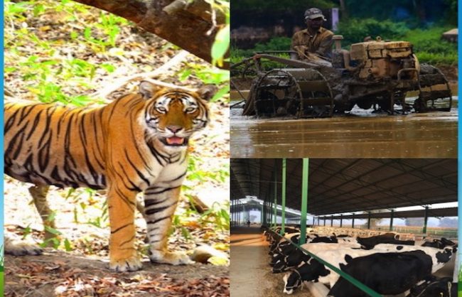 Farming-Wilding-Trips-India