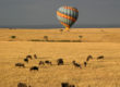 kenya-balloon-safari