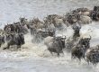 Mara-river-Tanzania