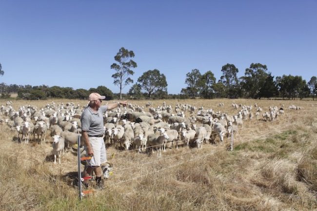 Tasmanian-Agriculture