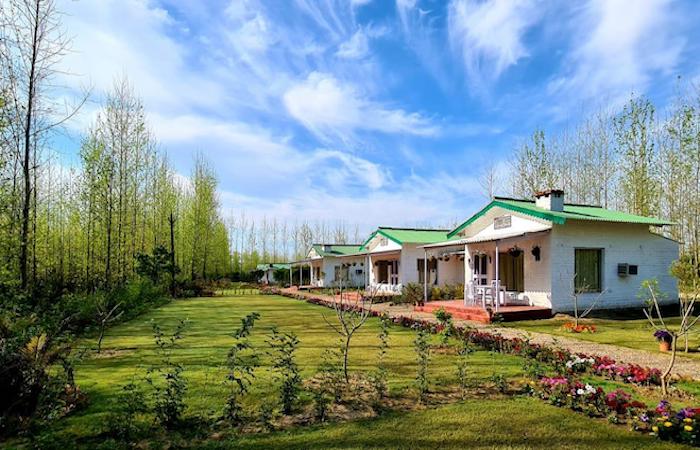 Top-Farms-stay-Punjab