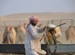 agriculture-tour-uae