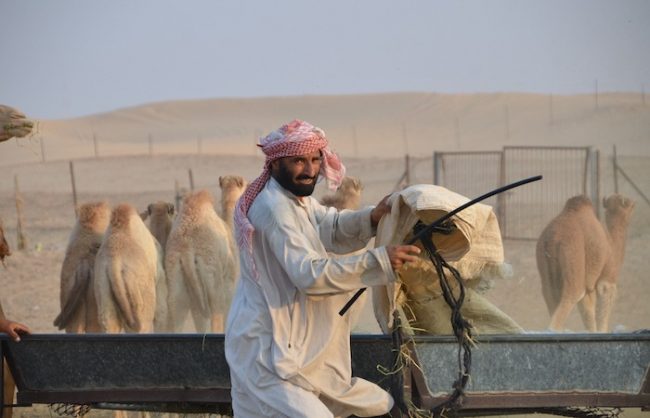 agriculture-tour-uae